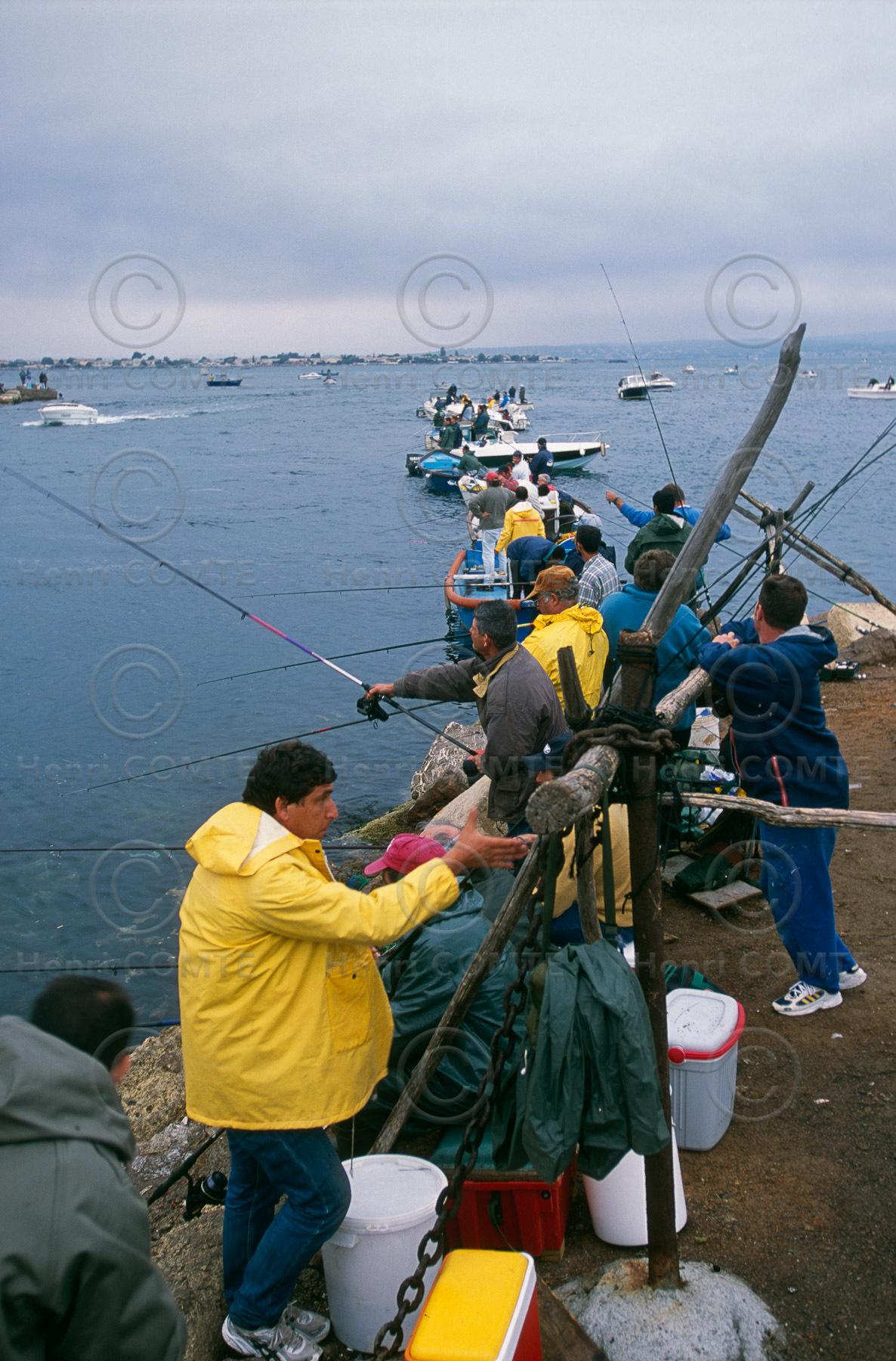 Pêche à la daurade