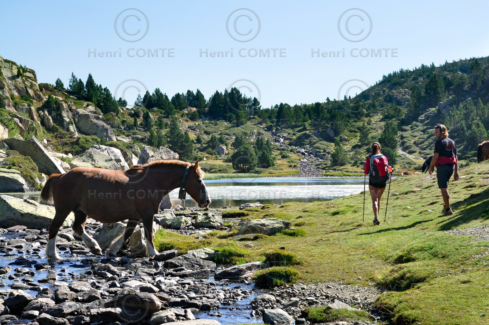 Les étangs du Carlit