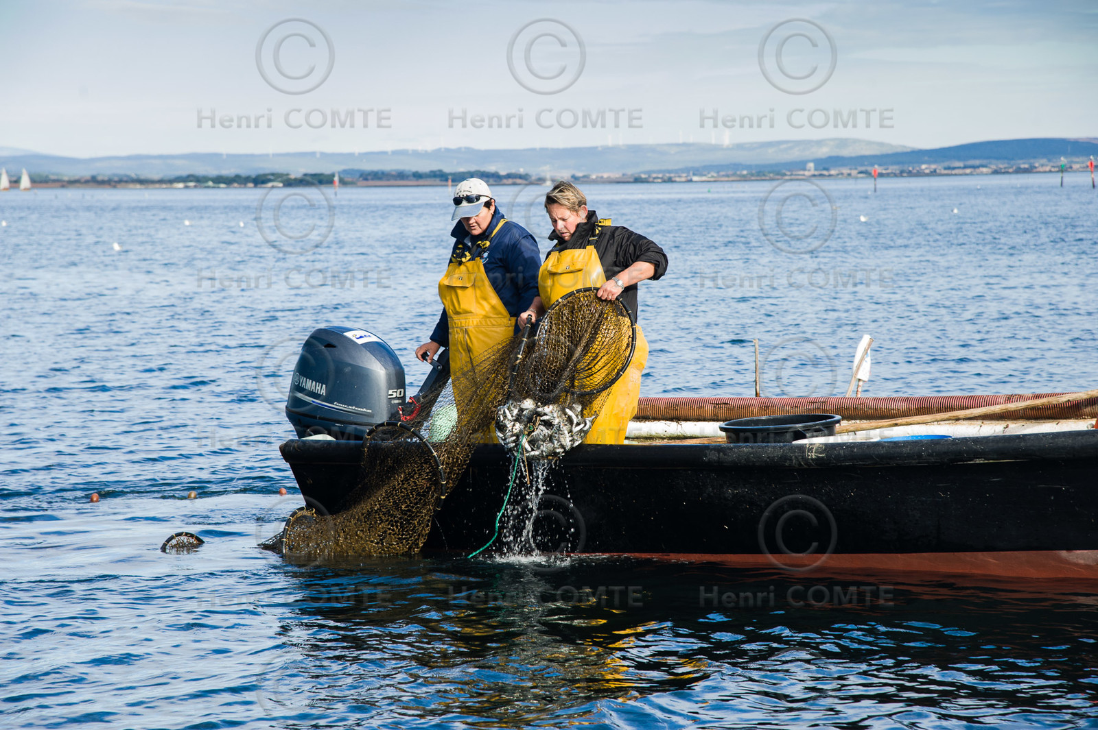 Pêche étang de thau