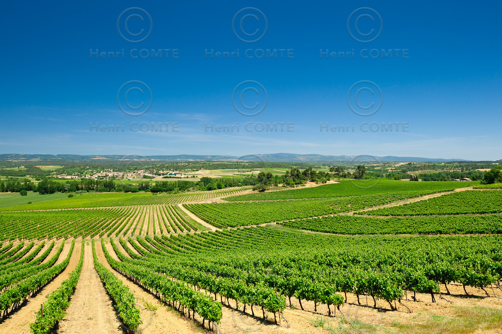 Vignoble de Cabardès