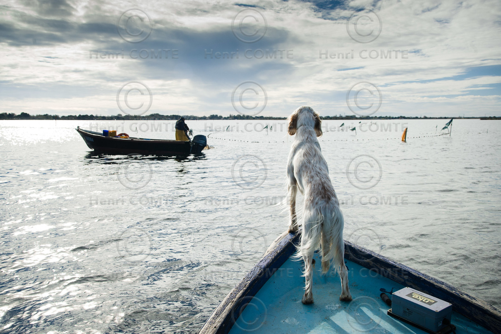 Pêche étang de thau