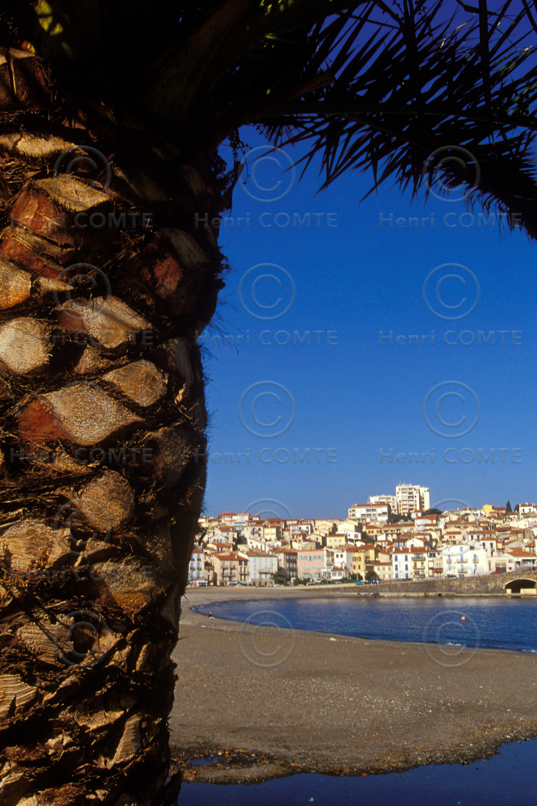 Banyuls