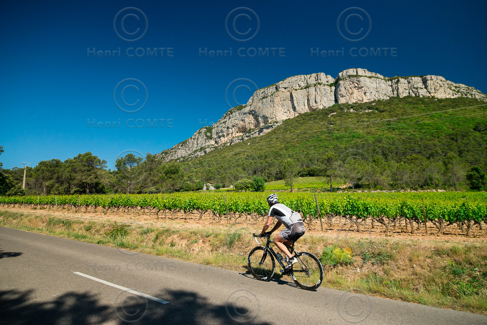 Vignoble Pic St Loup