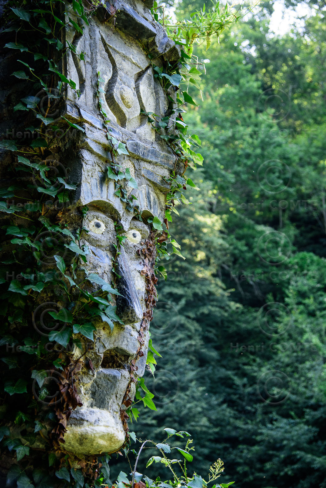 Le jardin de pierres