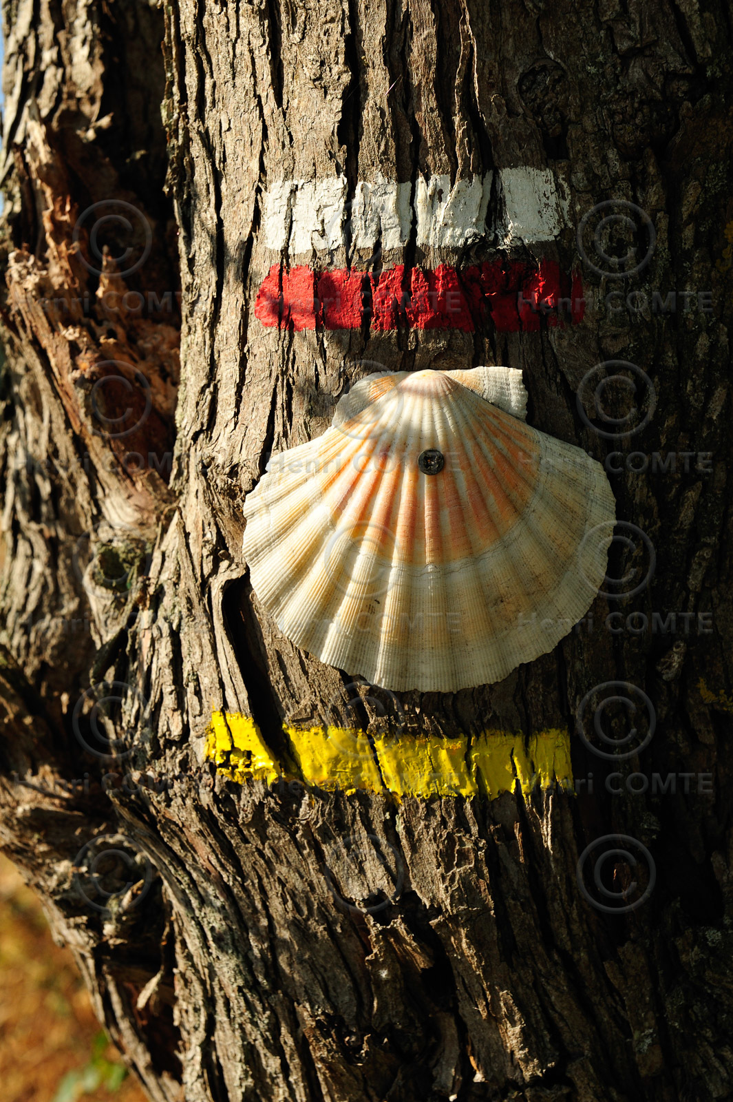 Chemin de Saint-Jacques