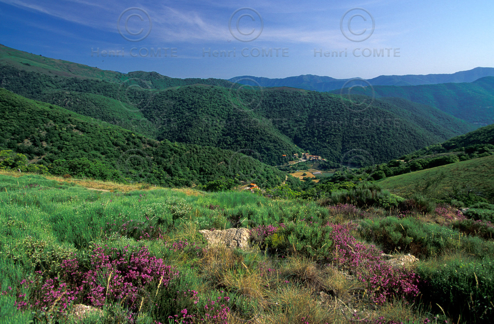 Montagnes de l'Esperou