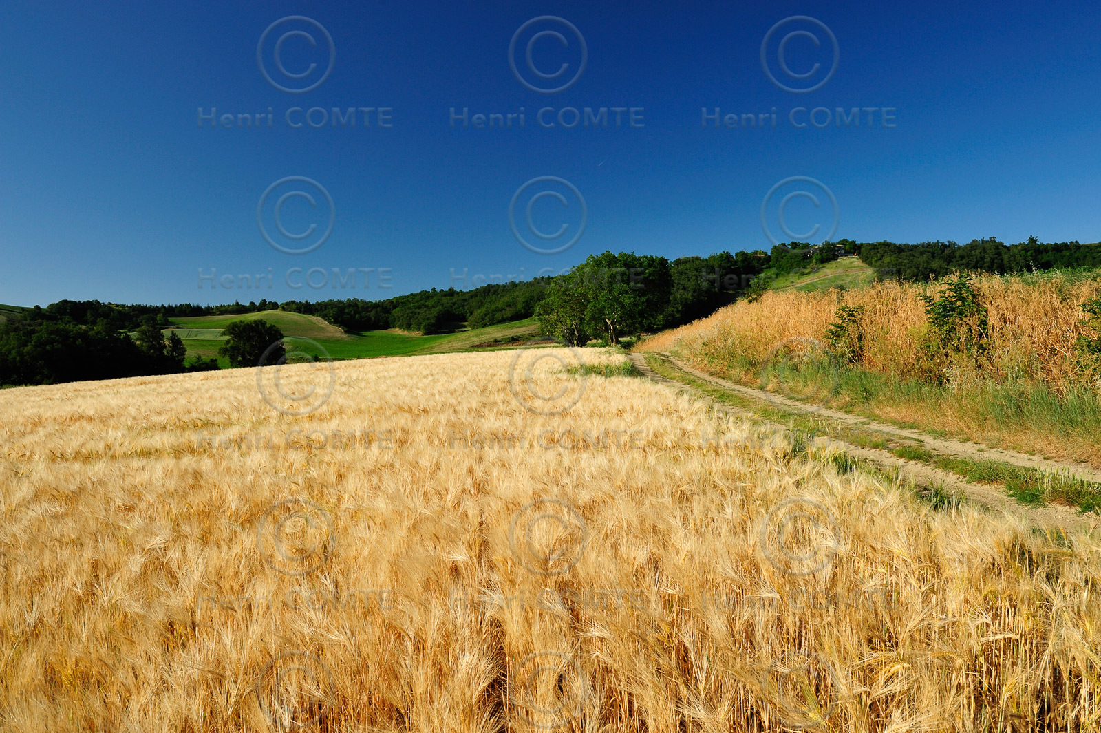 Chemin de Compostelle