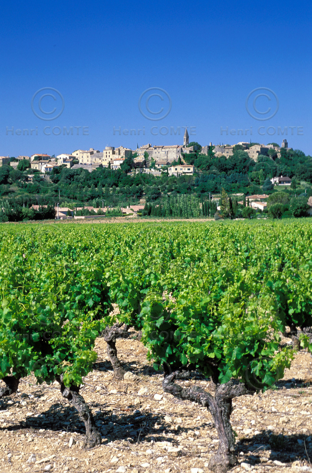 Castillon du Gard
