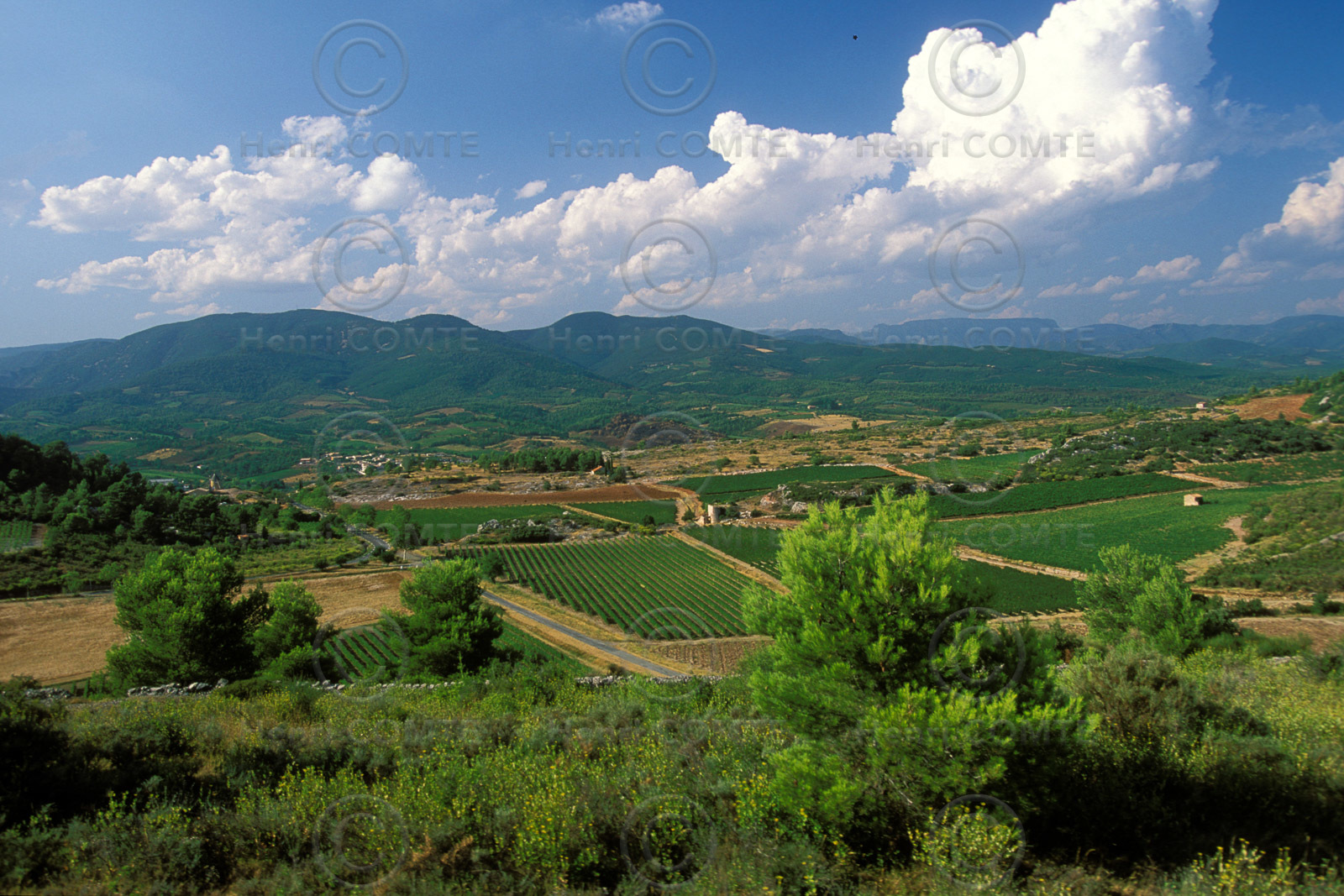 Vignoble Saint Chinian