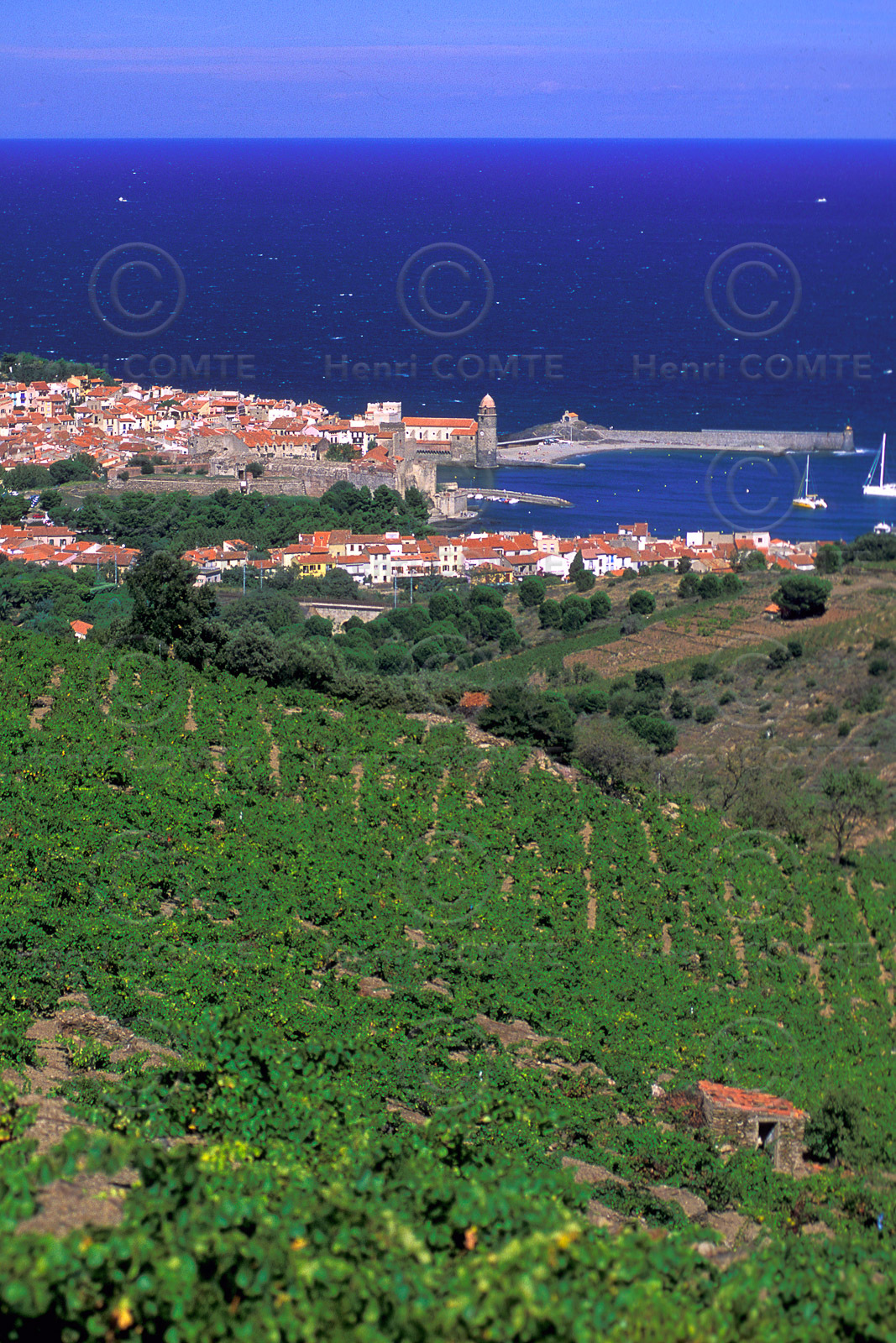 Collioure