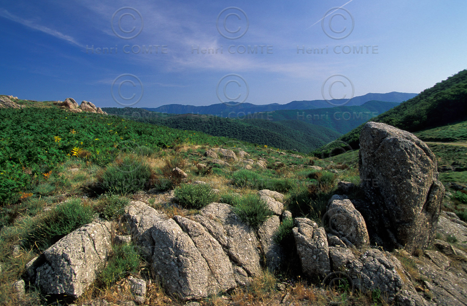 Montagnes de l'Esperou