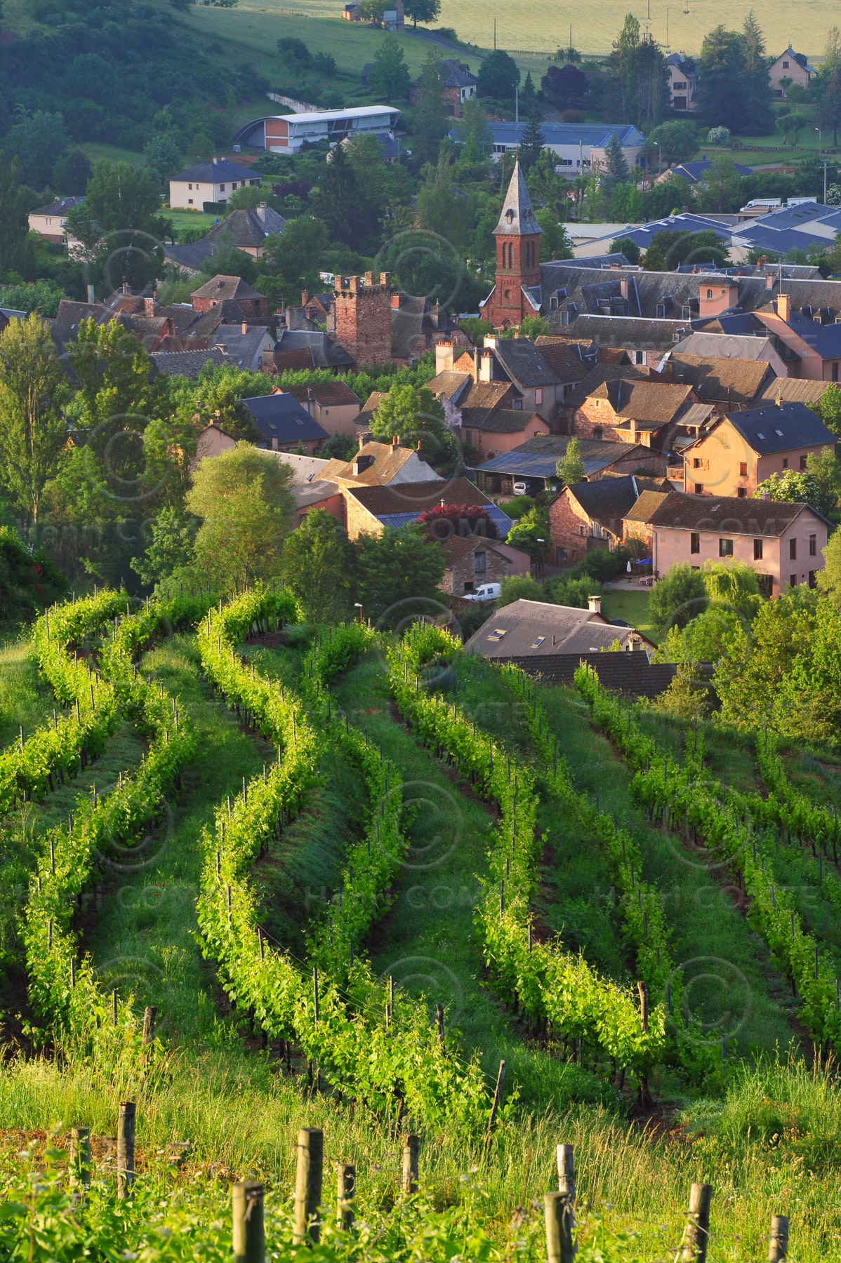 Vignoble de Marcillac