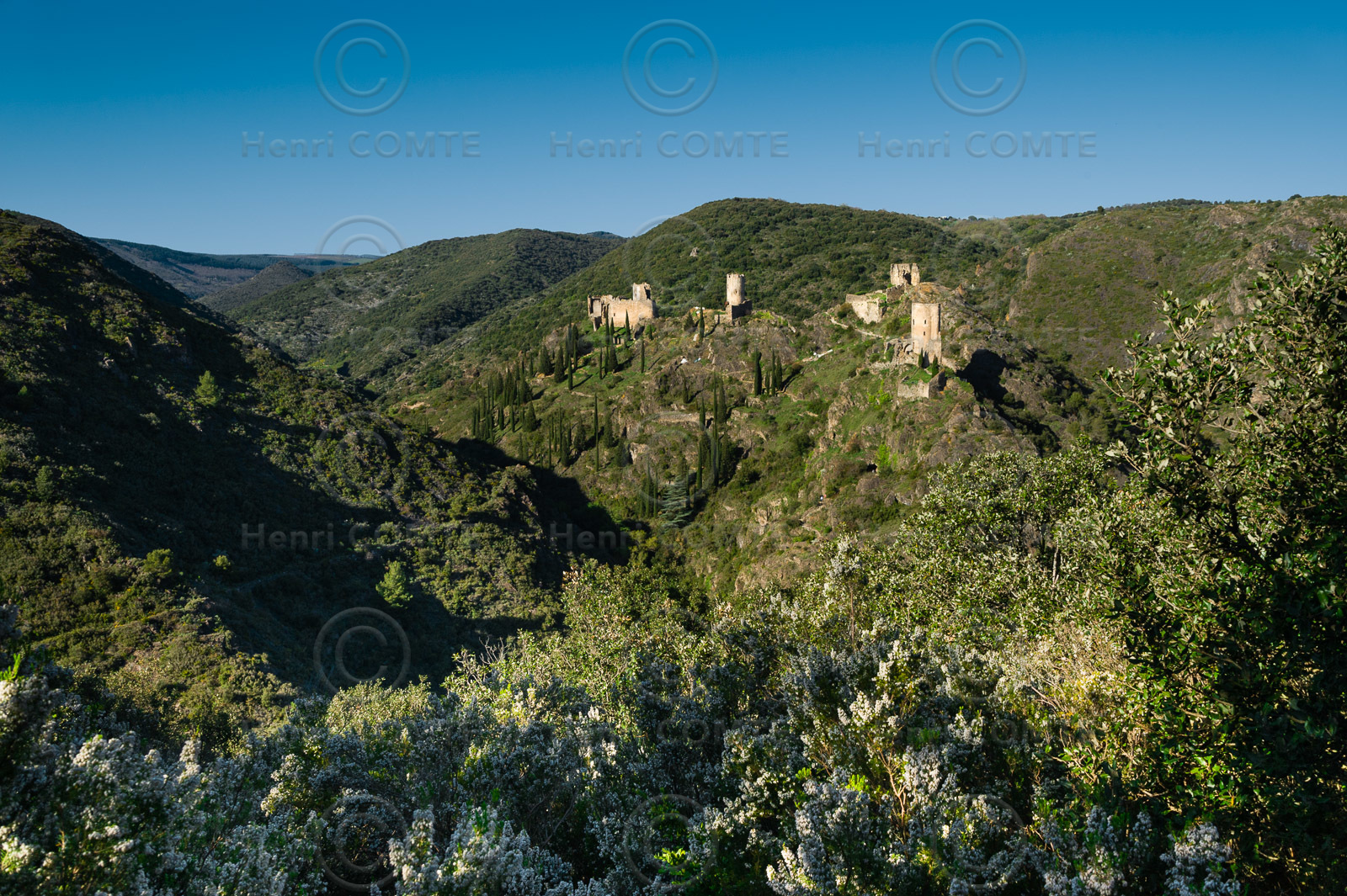 Chateaux de Lastours