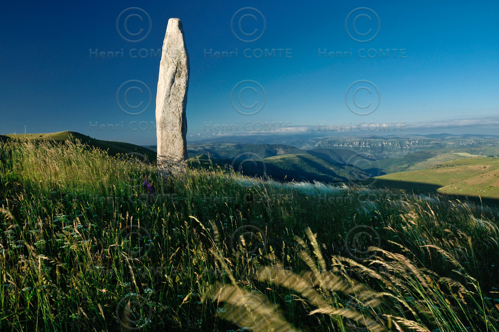 Menhirs en Lozère