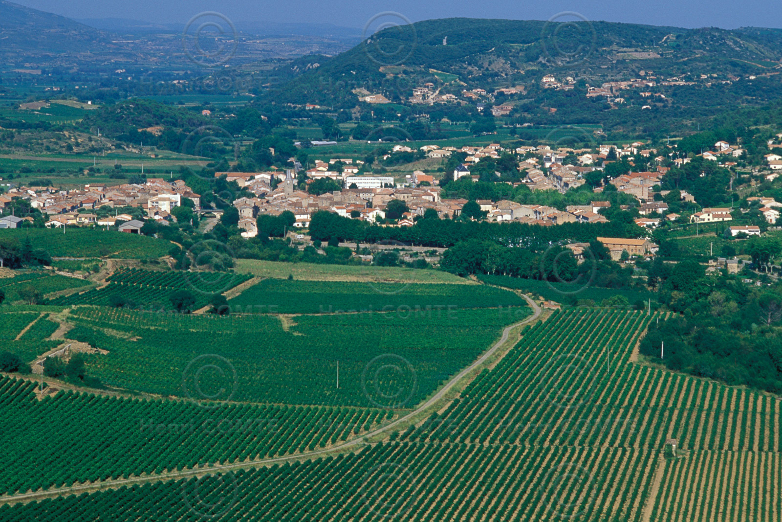 Vignoble Saint Chinian
