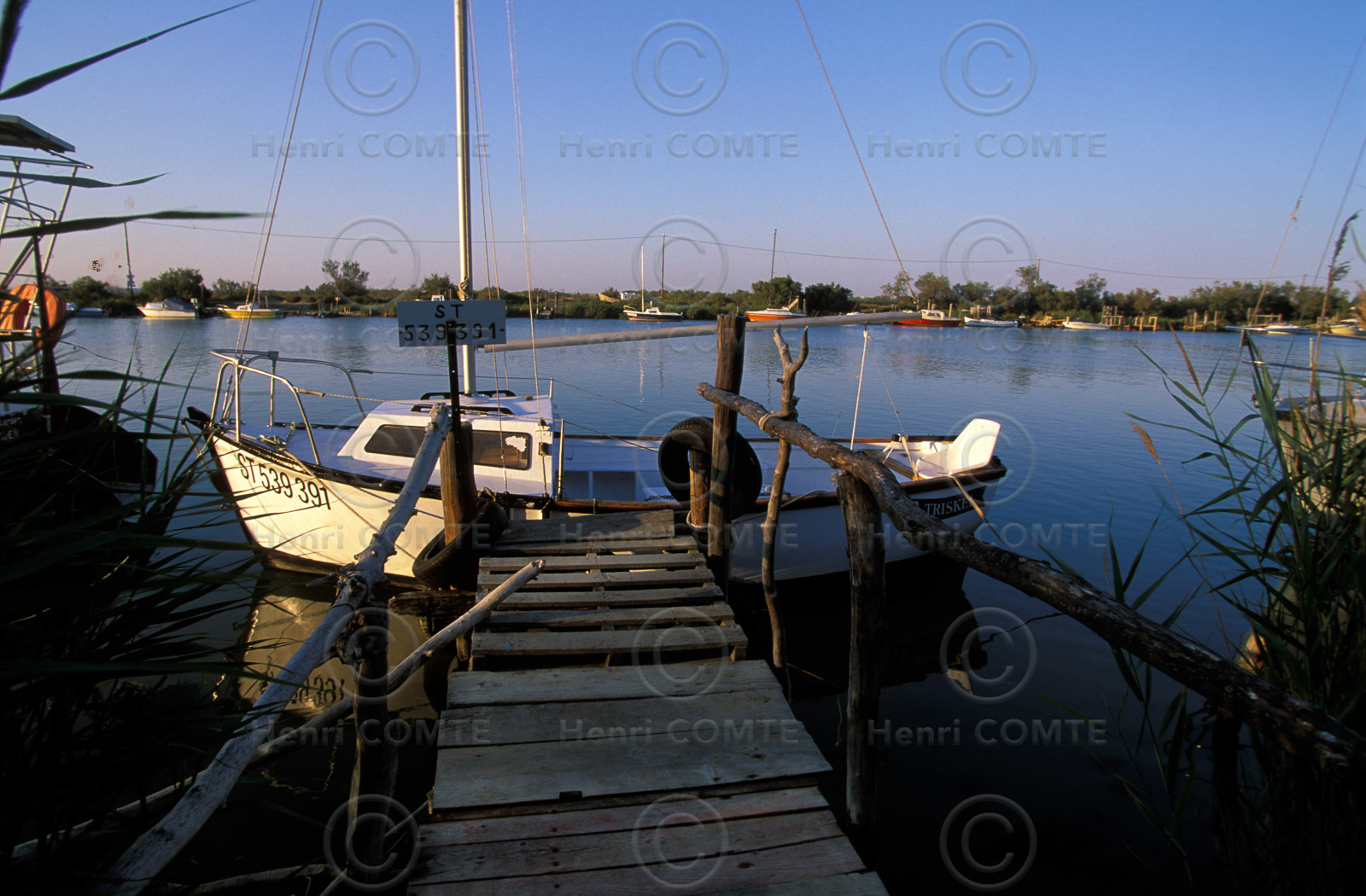 Embouchure de l'aude