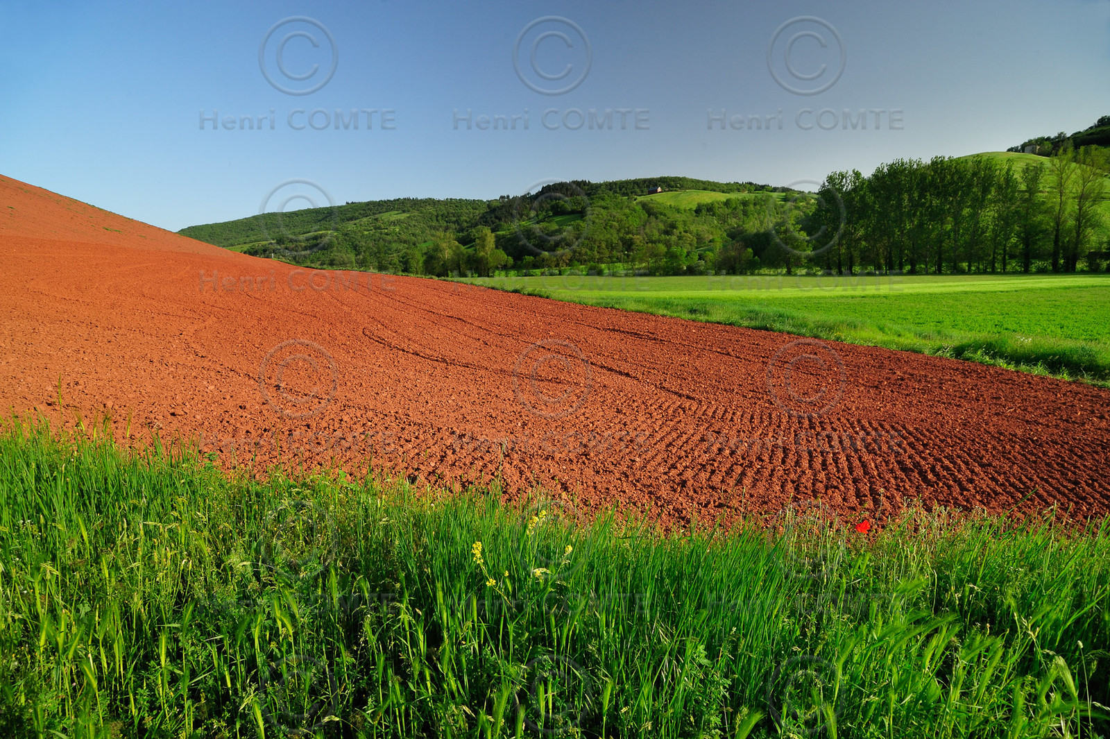 Terre rouge du Camares