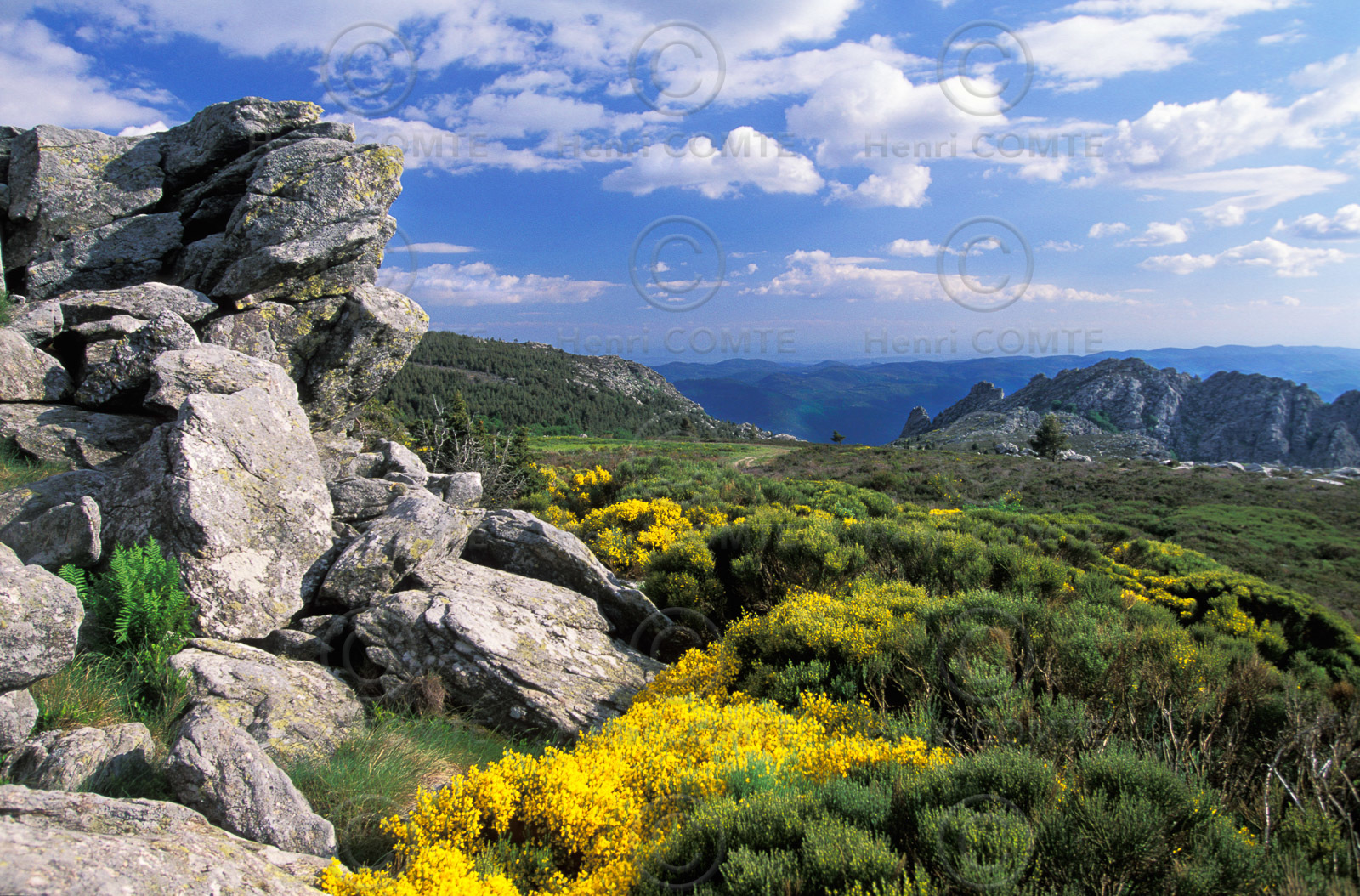 Le massif du Caroux
