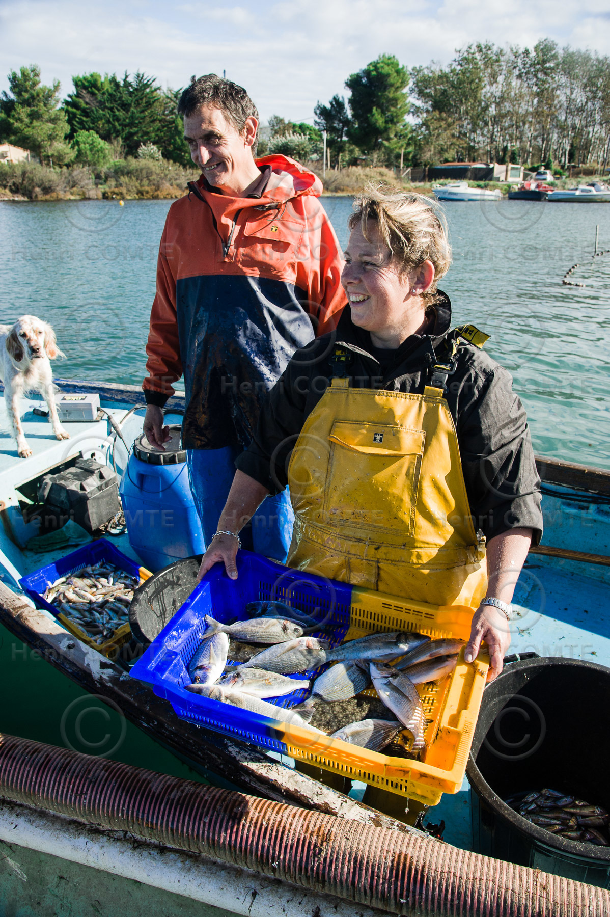 Pêche étang de thau