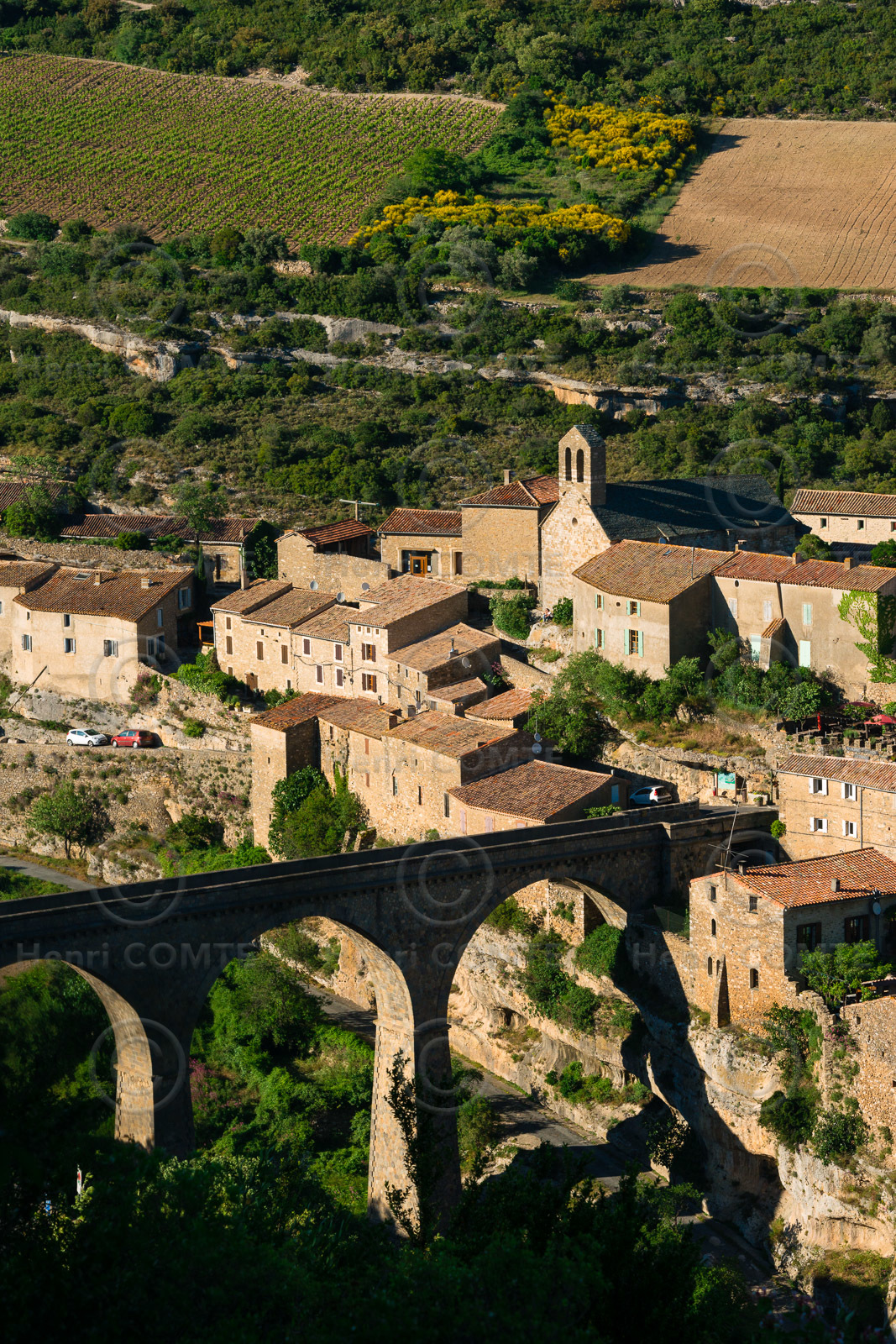 Minerve