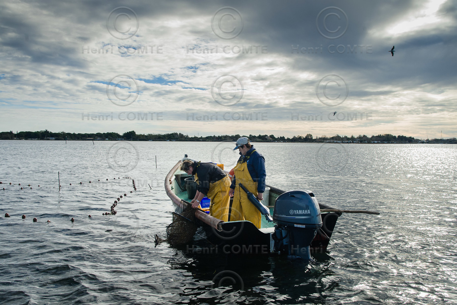 Pêche étang de thau