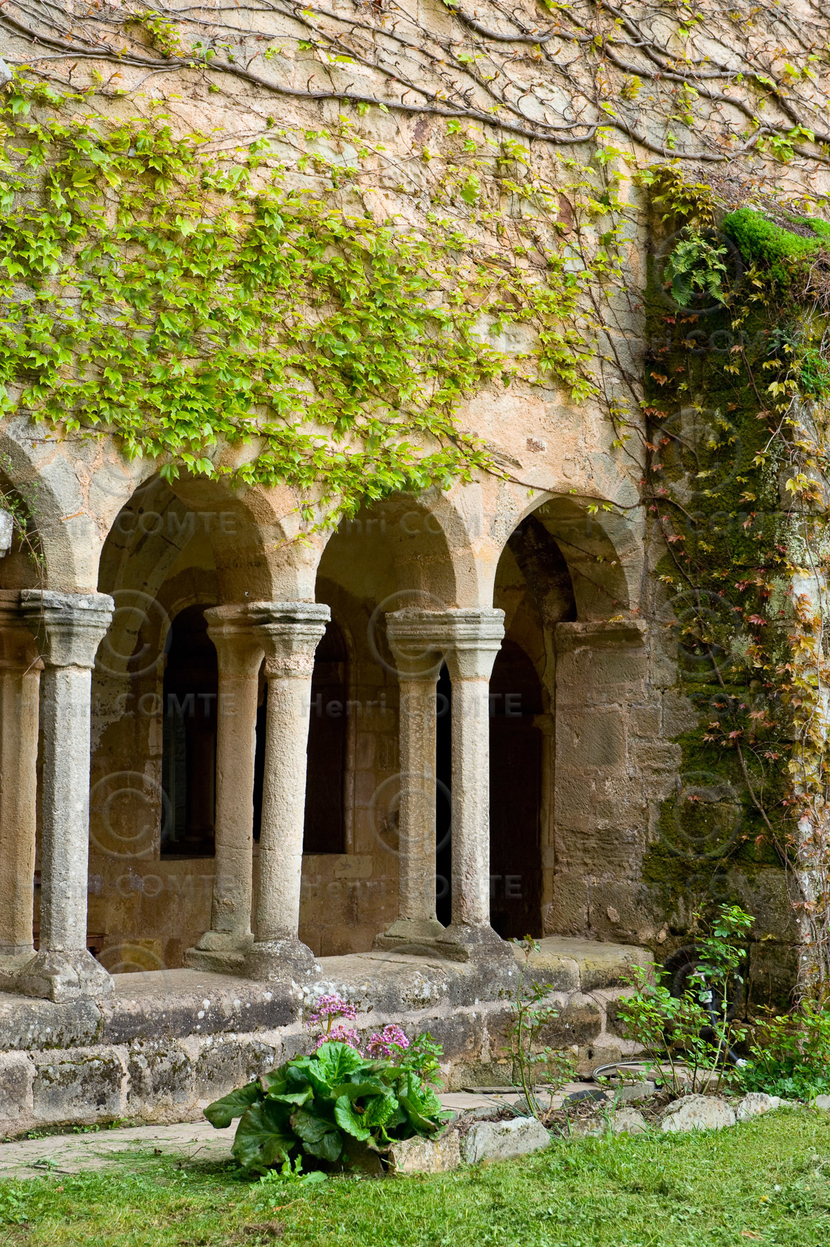 Abbaye de Sylvanes