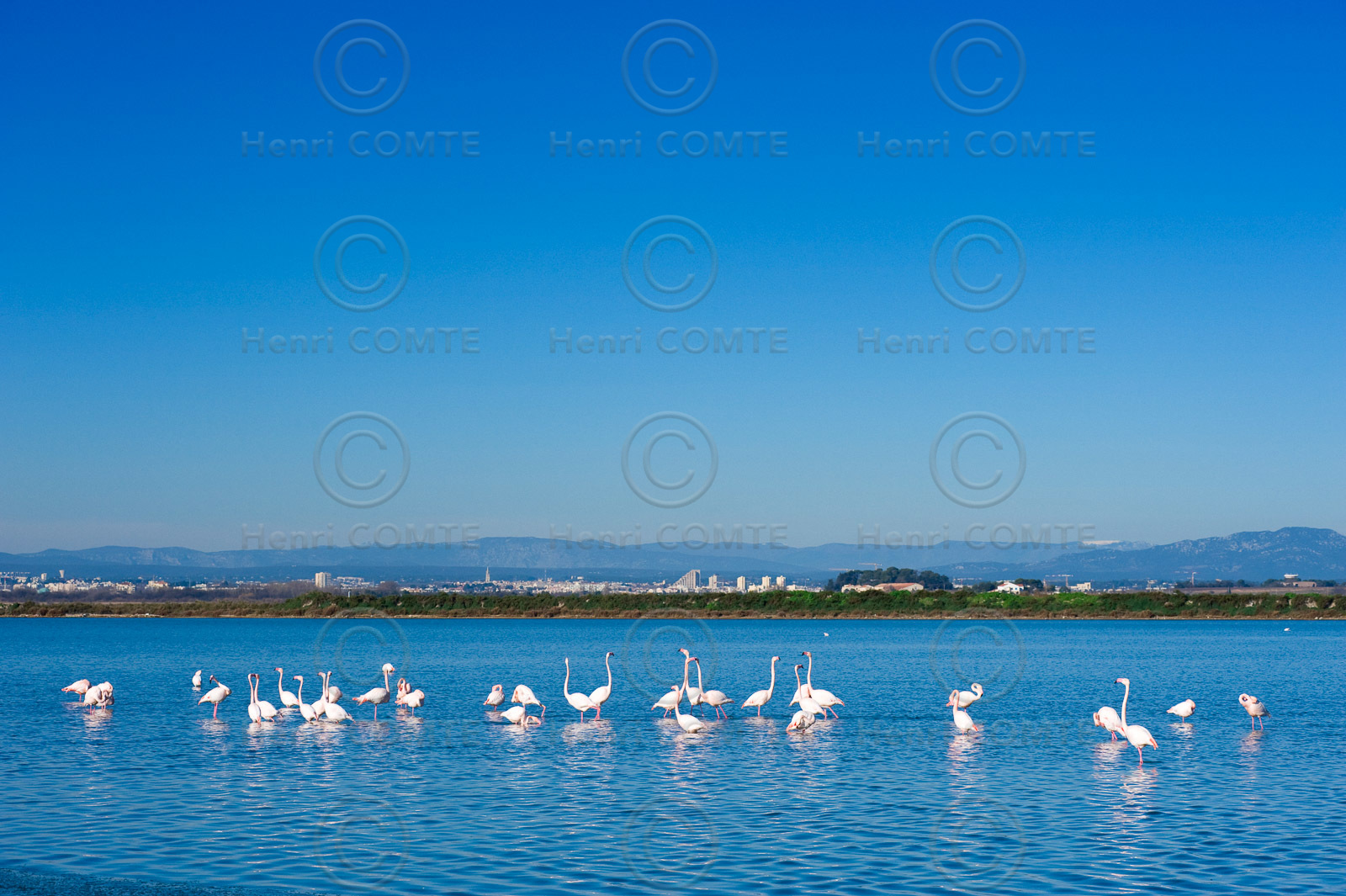 Etang et Montpellier