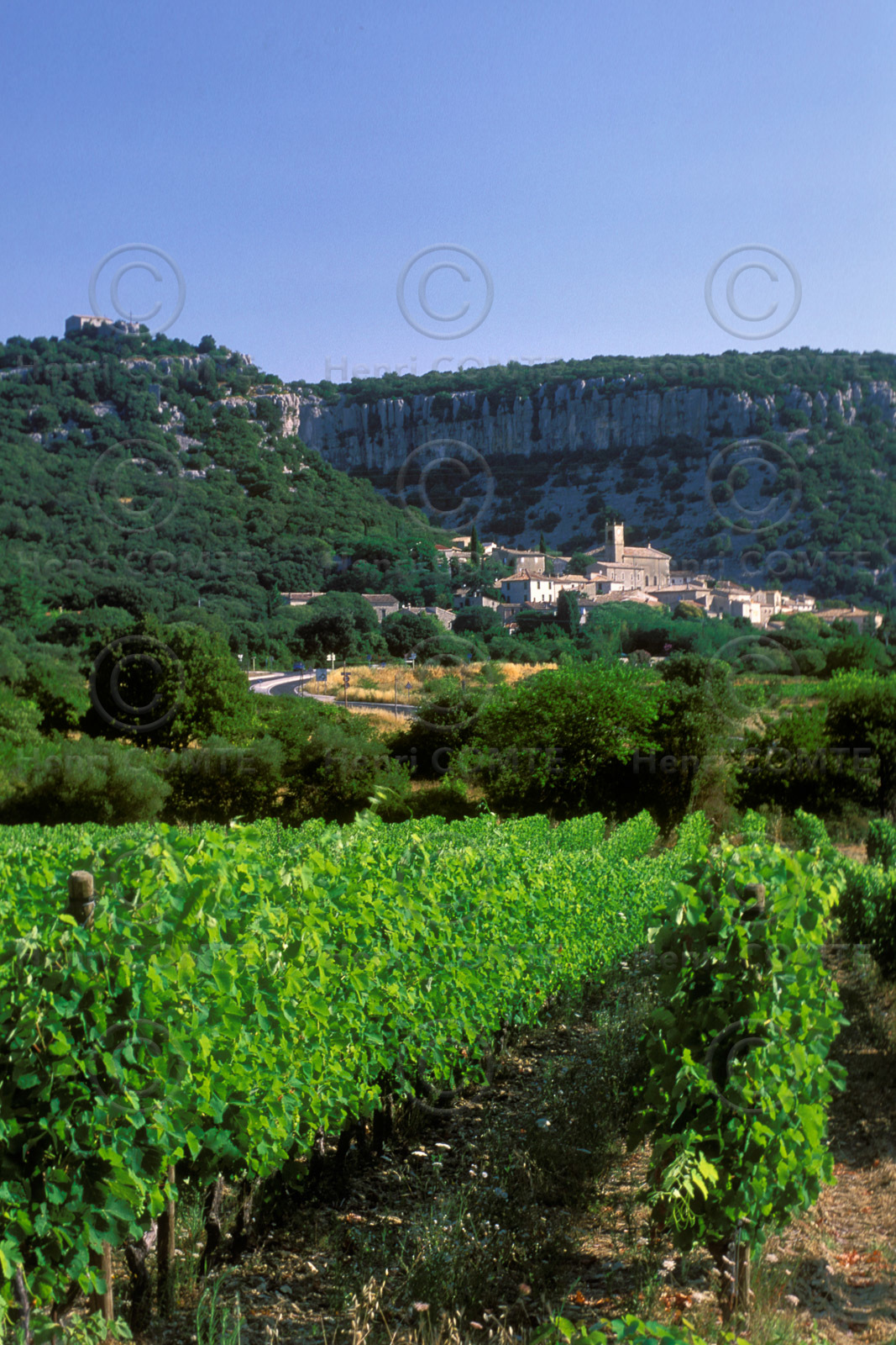 Corconne et ses vignes