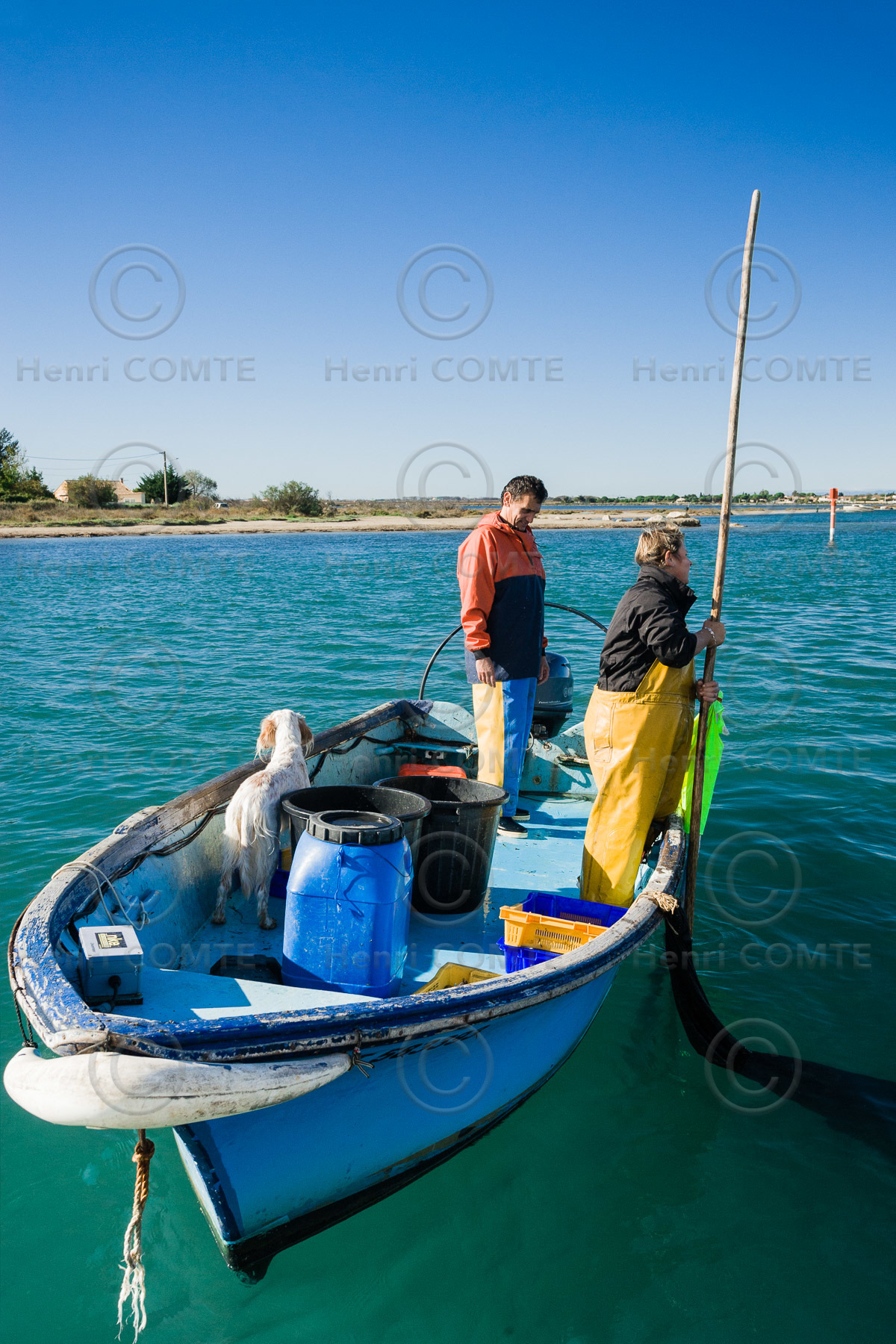 Pêche étang de thau