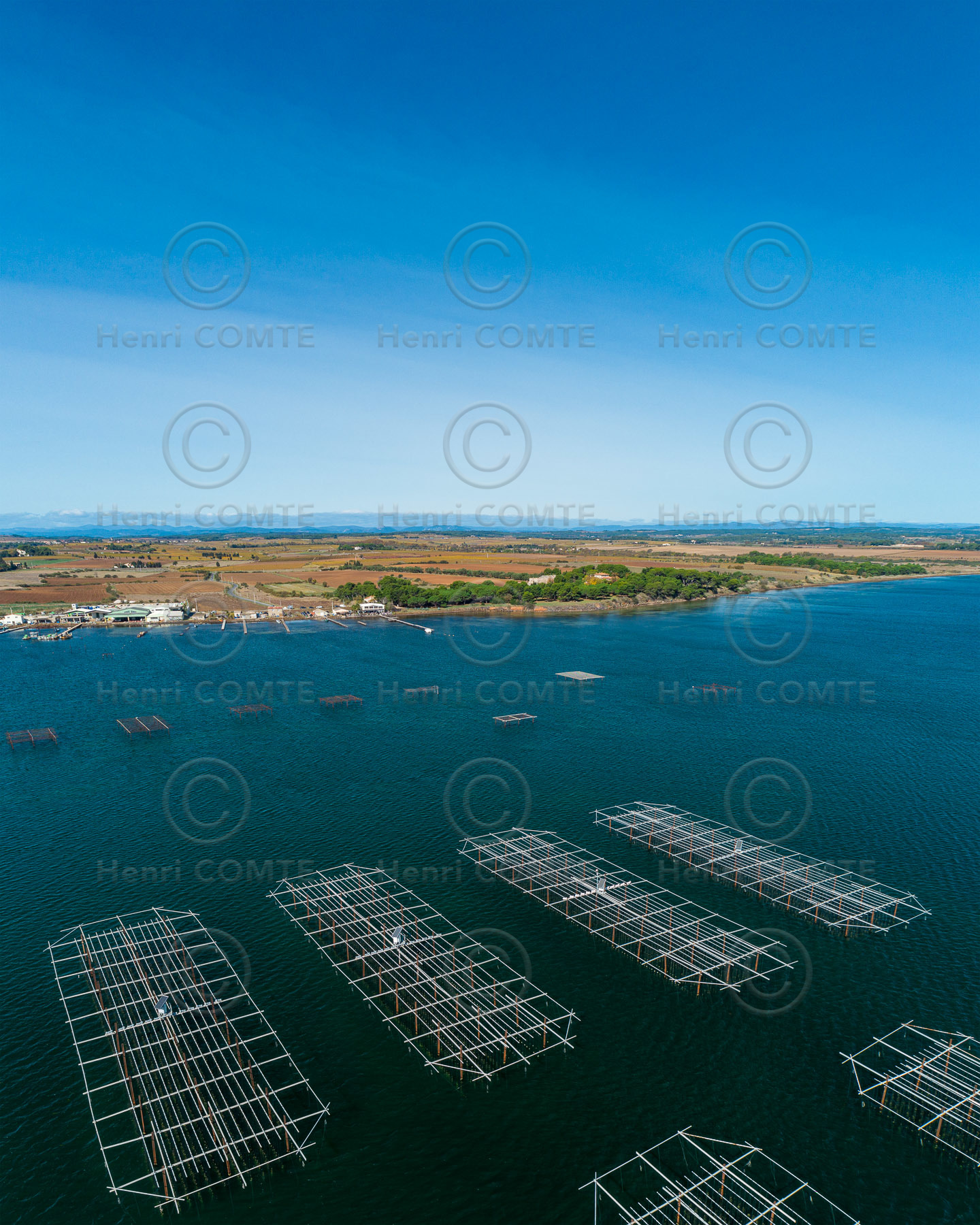 Ostreiculture - Etang de thau