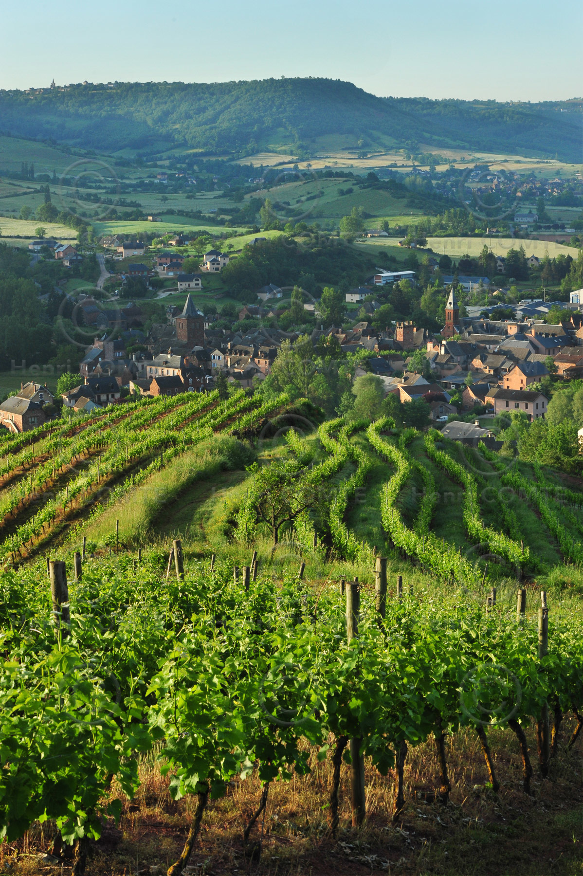 Vignoble de Marcillac