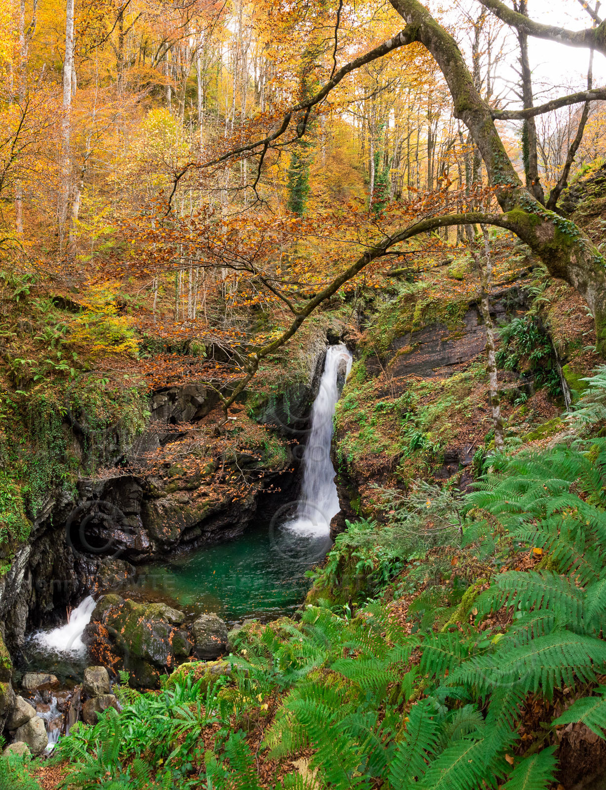 Petite cascade d'Ars