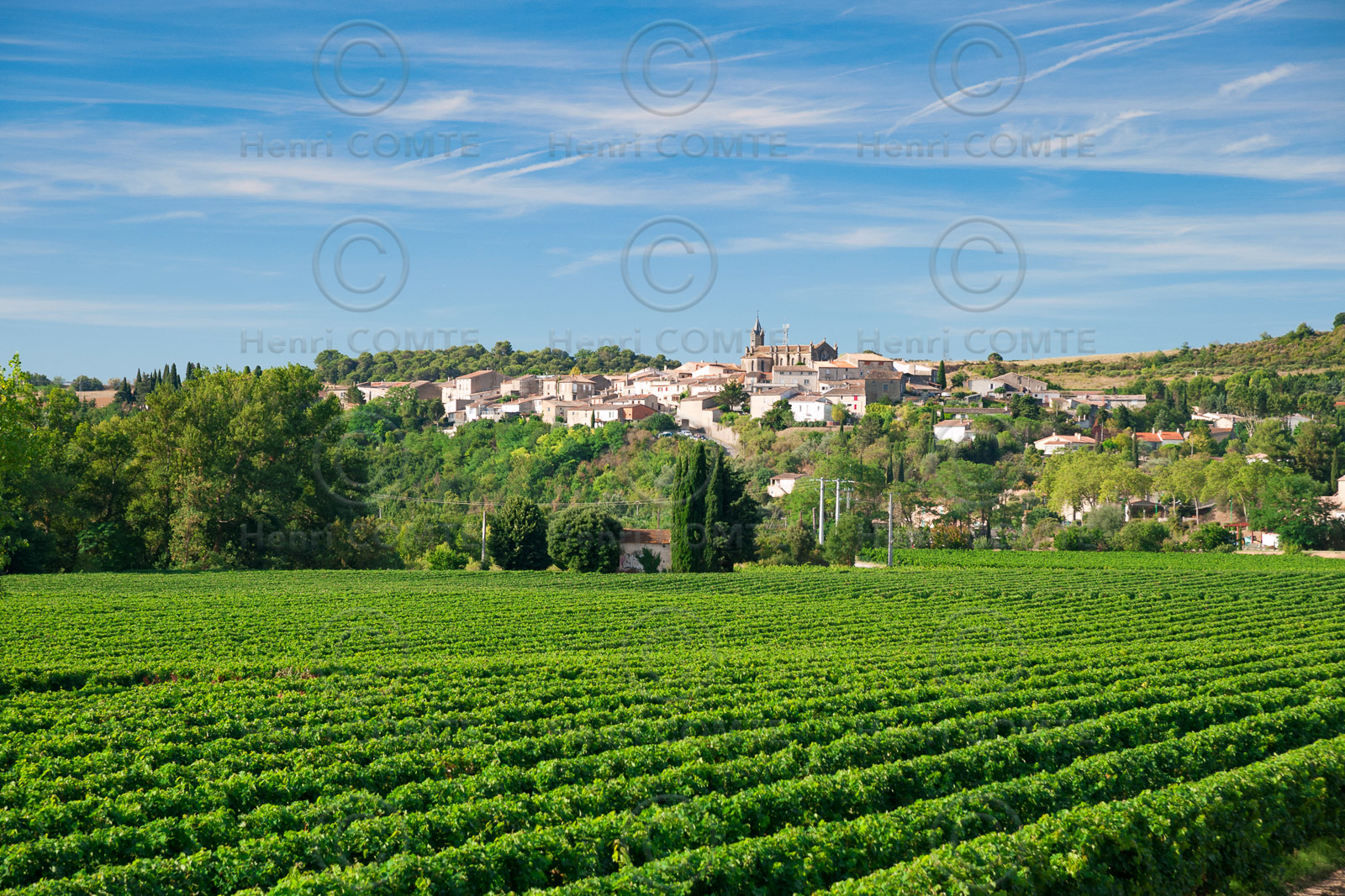 Vignoble de Malepére