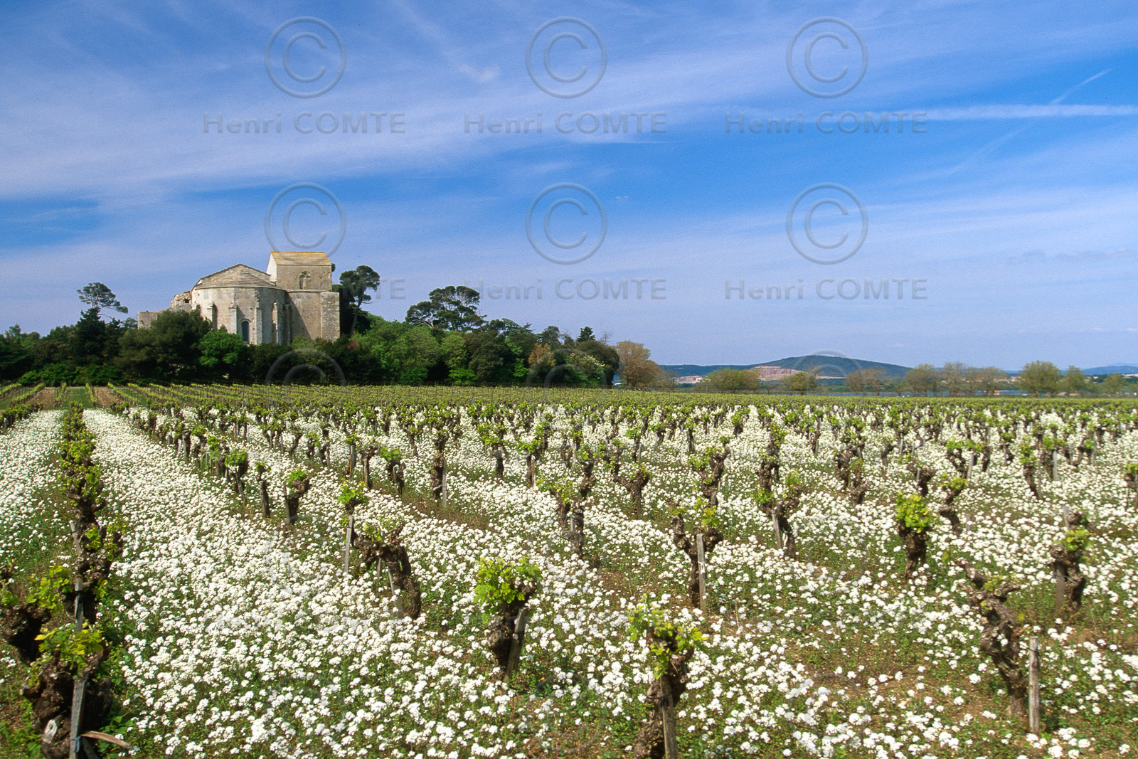 Cathédrale de Maguelone