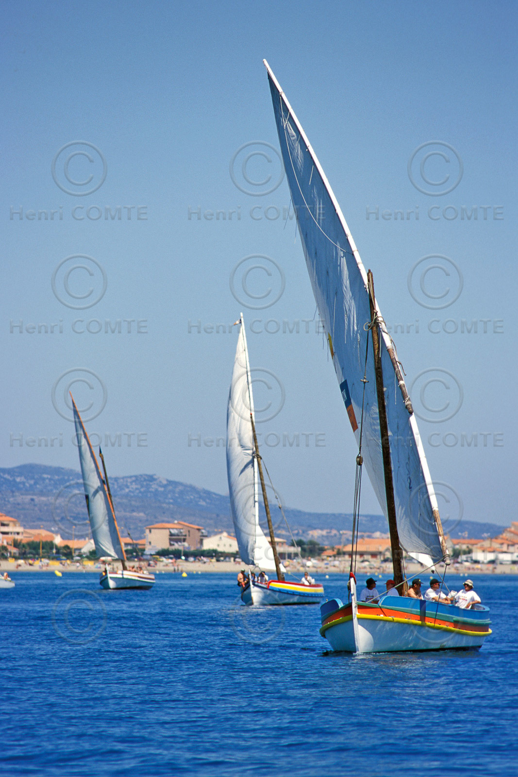 Voiles latines