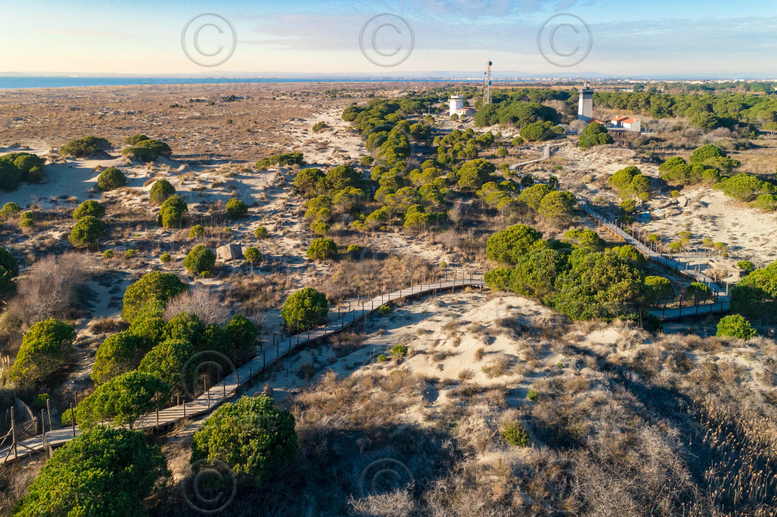Phare de l'Espiguette